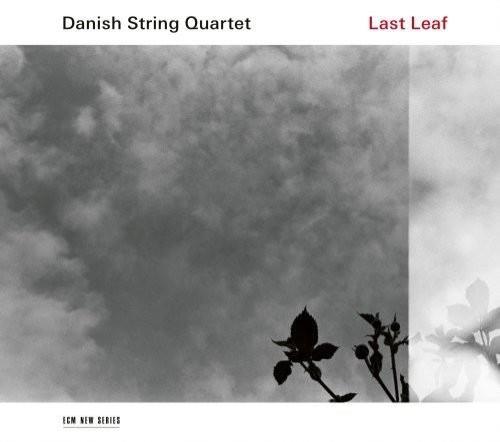 DANISH STRING QUARTET / LAST LEAF - LP 180gr