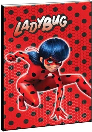 Ladybug Τετράδιο 17x25-40 Φύλλα (346-04400)