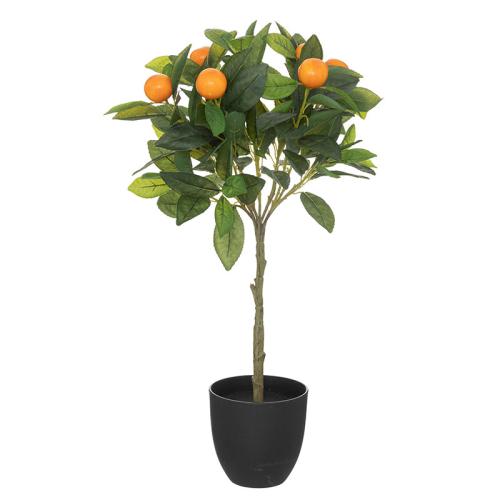 Διακοσμητικό Δέντρο Πορτοκαλιά (Φ35x62) A-S Oranger 193799