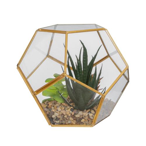 Διακοσμητικό Φυτό Σε Γυάλα (16x16x14) A-S Terrarium Glass 173033