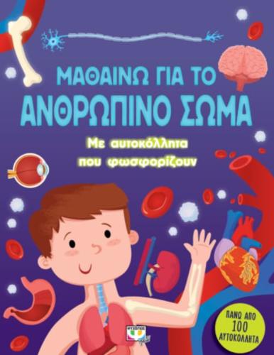 ΜΑΘΑΙΝΩ ΓΙΑ ΤΟ ΑΝΘΡΩΠΙΝΟ ΣΩΜΑ (ΜΕ ΑΥΤΟΚΟΛΛΗΤΑ ΠΟΥ ΦΩΣΦΟΡΙΖΟΥΝ)