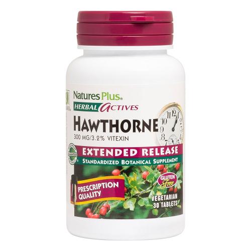 Natures Plus Herbal Actives Hawthorne 300mg Συμπλήρωμα Διατροφής που Συμβάλει στη Βελτίωση του Καρδιαγγειακού 30Veg.tabs