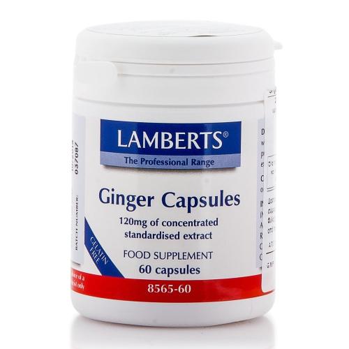 Lamberts Ginger Capsules 120mg Συμπλήρωμα Διατροφής για Διαταραχές που Αφορούν την Πεπτική Δυσλειτουργία 60caps