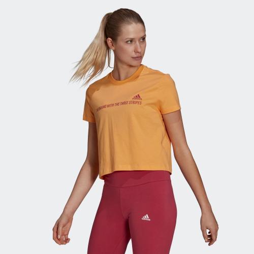 adidas Performance Essentials Gradient Cropped Γυναικείο T-shirt (9000068482_49789)