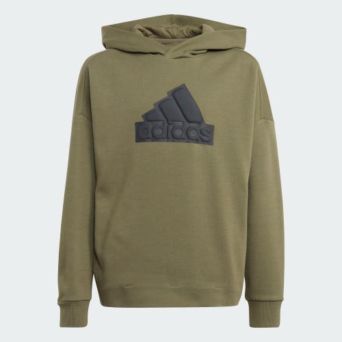 adidas Future Icons Logo Hooded Sweatshirt (9000165068_66161)