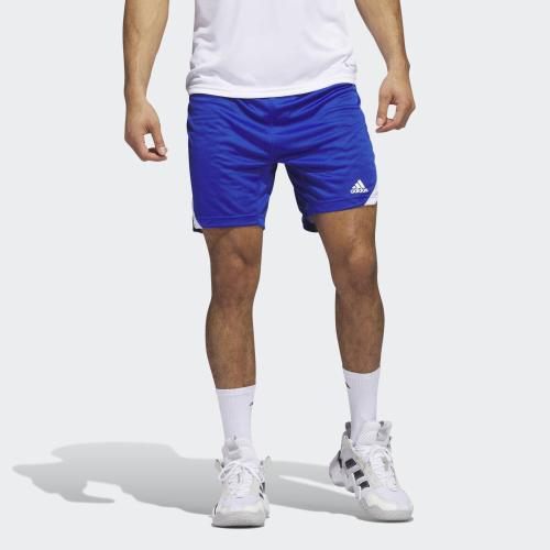 adidas Icon Squad Shorts (9000176233_62937)