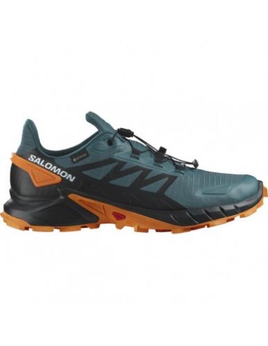 Salomon Supercross 4 GTX 471198 Πολύχρωμο