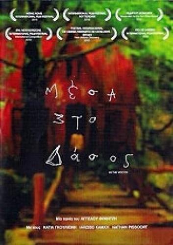 ΜΕΣΑ ΣΤΟ ΔΑΣΟΣ (DVD)