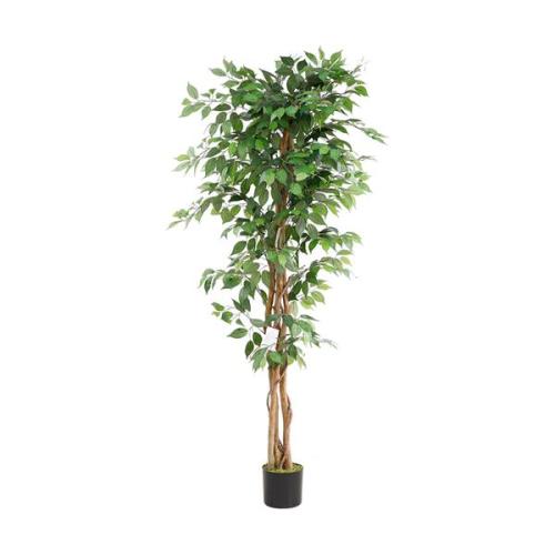 Διακοσμητικό Φυτό Ficus Tree Np0080_180 Ύψος 180Cm Newplan