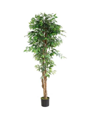 Διακοσμητικό Φυτό Ficus Tree Np0081_210 Ύψος 210Cm Newplan