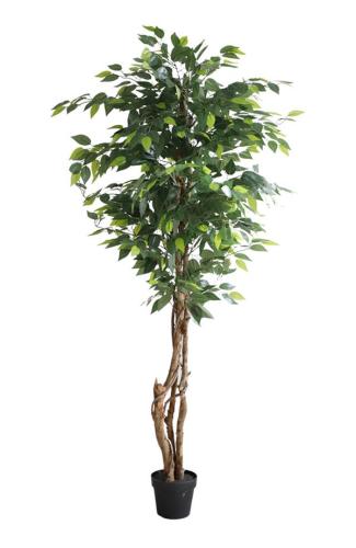 Διακοσμητικό Φυτό Ficus Tree Np5208_150 Ύψος 150Cm Newplan