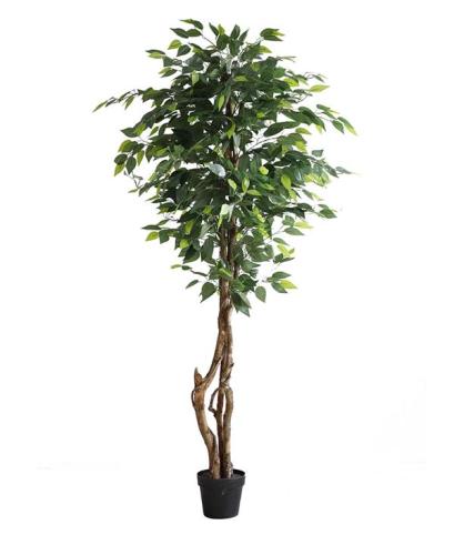 Διακοσμητικό Φυτό Ficus Tree Np5209_180 Ύψος 180Cm Newplan