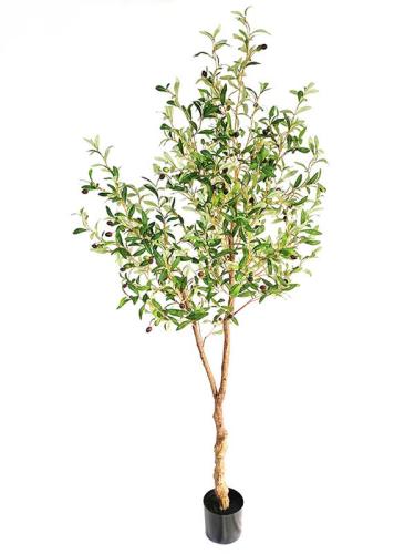 Διακοσμητικό Φυτό Olive Tree Np0231_200 Ύψος 200Cm Newplan