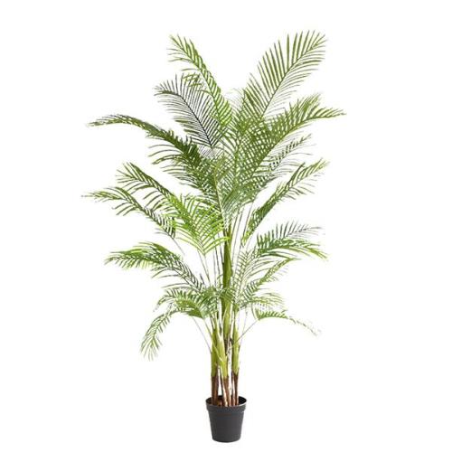 Διακοσμητικό Φυτό Palm Tree Np5501_210_22 Ύψος 210Cm Newplan