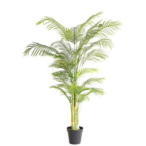 Διακοσμητικό Φυτό Palm Tree Np5506_180_22 Ύψος 180Cm Newplan