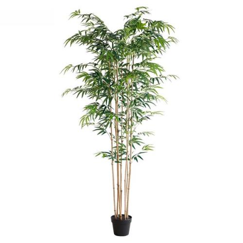 Διακοσμητικό Φυτό Bamboo Np0070_210 Ύψος 210Cm Newplan
