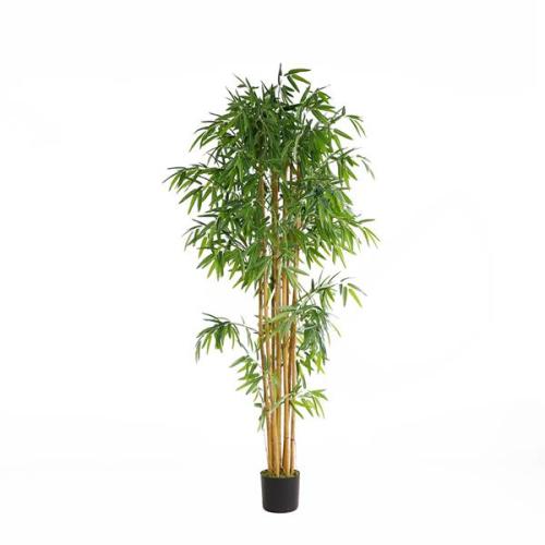 Διακοσμητικό Φυτό Bamboo Np0076_210 Ύψος 210Cm Newplan