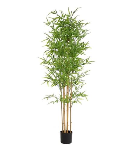 Διακοσμητικό Φυτό Bamboo Np6321_180_22 Ύψος 180Cm Newplan