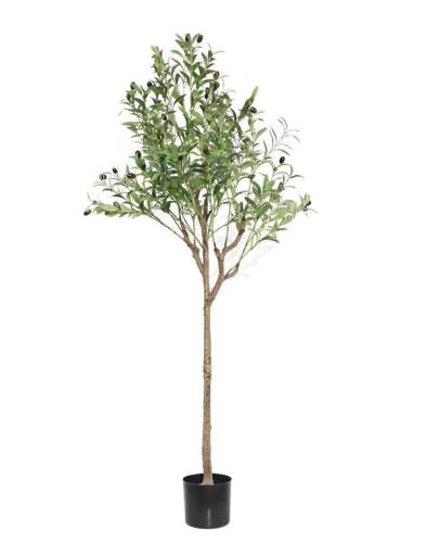 Διακοσμητικό Φυτό Olive Tree Np1384_150 Ύψος 150Cm Newplan