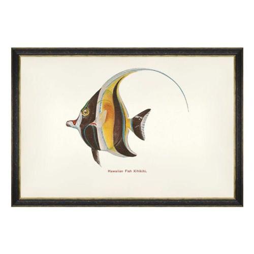 Κάδρο Fishes Of Hawaii - Kihikihi Fish FA13208 60X40 MindTheGap
