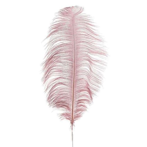 Φτερό Διακοσμητικό 3-70-355-0020 40/70cm Pink Inart