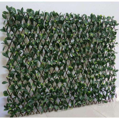 Πτυσσόμενη Πέργκολα Σεφλέρα 9681-7 100x200cm Green Supergreens