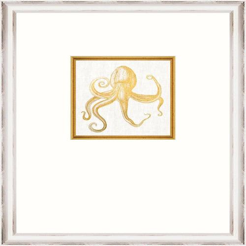 Κάδρο Octopus Fa13364 35X45Cm White-Gold Mindthegap