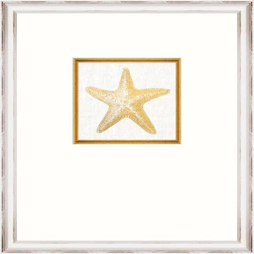 Κάδρο Starfish Fa13367 35X45Cm White-Gold Mindthegap