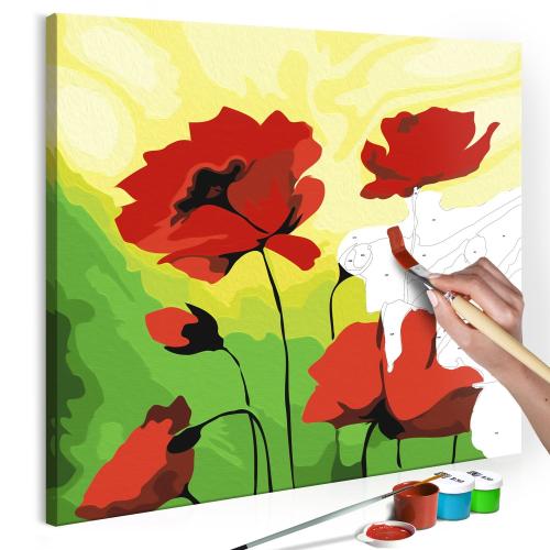 Πίνακας για να τον ζωγραφίζεις - Poppies 45x45