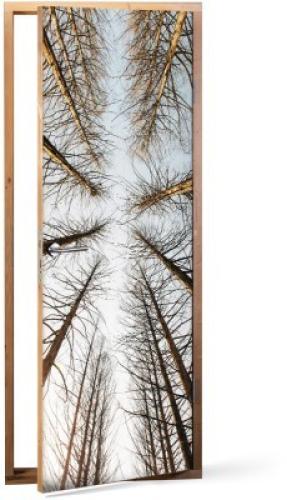 Πεύκα, Φύση, Αυτοκόλλητα πόρτας, 60 x 170 εκ.