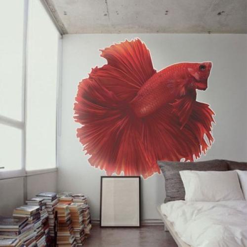 Κόκκινο ψάρι, Ζώα, Αυτοκόλλητα τοίχου, 70 x 70 εκ.