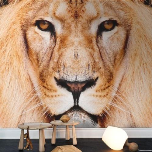 Λιοντάρι, Ζώα, Ταπετσαρίες Τοίχου, 95 x 108 εκ.