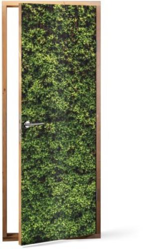 Πράσινη βρύα, Φύση, Αυτοκόλλητα πόρτας, 60 x 170 εκ.