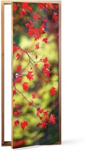Φθινοπωρινά φύλλα, Φύση, Αυτοκόλλητα πόρτας, 60 x 170 εκ.