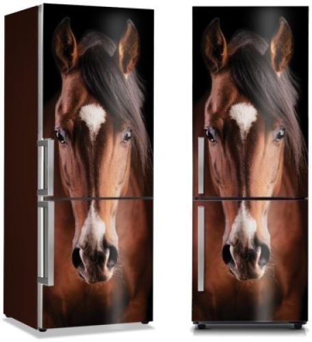 Καφέ άλογο, Διάφορα, Αυτοκόλλητα ψυγείου, 50 x 85 εκ.