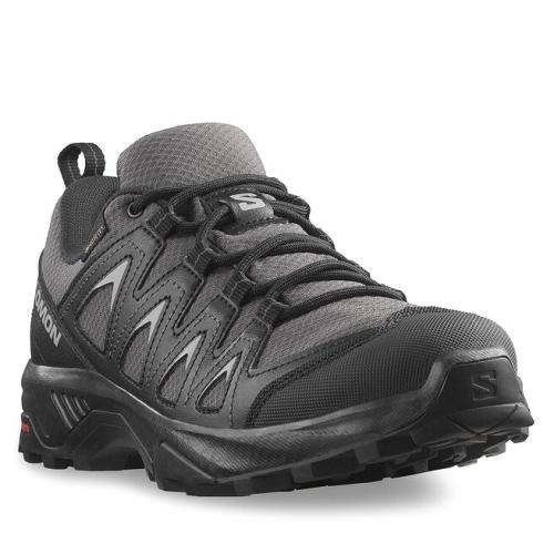 Παπούτσια πεζοπορίας Salomon X Braze Gtx GORE-TEX L47180700 Gris
