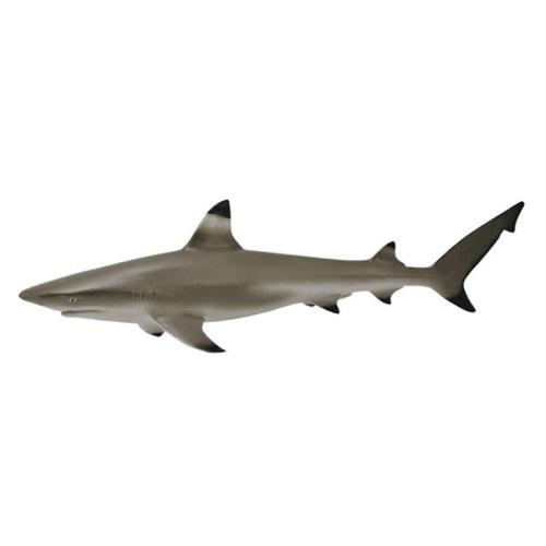CollectA Μαυροπτέρυγος Υφαλοκαρχαρίας (PR-88726)