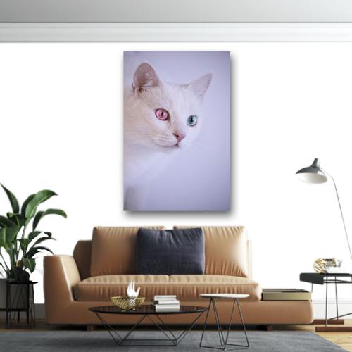 Πίνακας σε καμβά Λευκή γάτα 2 50x75 Τελαρωμένος καμβάς σε ξύλο με πάχος 2cm