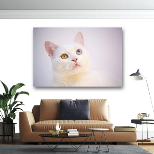 Πίνακας σε καμβά Λευκή γάτα 75x50 Τελαρωμένος καμβάς σε ξύλο με πάχος 2cm