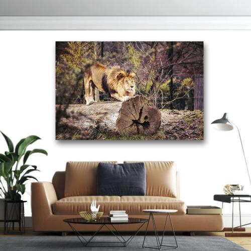 Πίνακας σε καμβά Λιοντάρι πάνω σε κορμό 75x50 Τελαρωμένος καμβάς σε ξύλο με πάχος 2cm