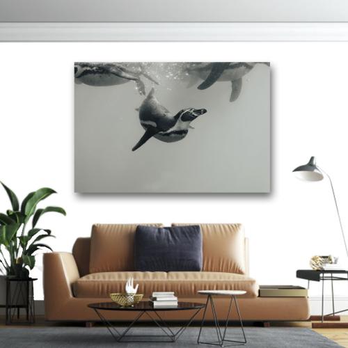 Πίνακας σε καμβά Πιγκουίνοι που κολυμπούν 100x150 Τελαρωμένος καμβάς σε ξύλο με πάχος 2cm
