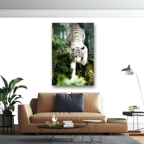 Πίνακες σε καμβά Λευκή τίγρης 2 135x90 Τελαρωμένος καμβάς σε ξύλο με πάχος 2cm