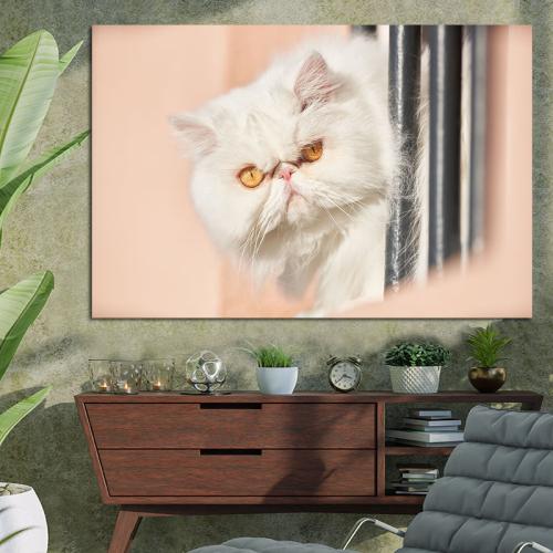 Πίνακας με Persian Cat 150x100 Τελαρωμένος καμβάς σε ξύλο με πάχος 2cm