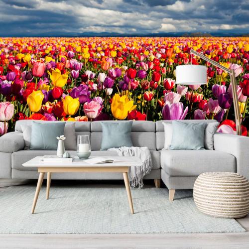 Ταπετσαρία τοίχου Field with tulips 240x160 Ύφασμα