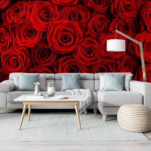 Ταπετσαρία τοίχου Red Roses 165x110 Ύφασμα