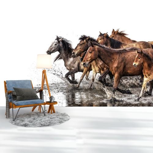 Ταπετσαρία τοίχου Horses 144x100 Βινύλιο