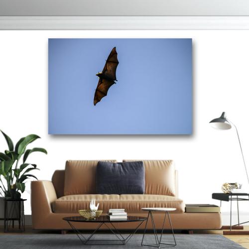 Πίνακας σε καμβα Νυχτερίδα που πετάει 220x330 Τελαρωμένος καμβάς σε ξύλο με πάχος 2cm