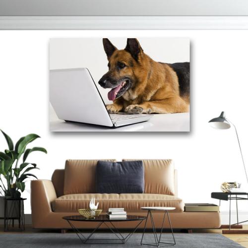 Πίνακας σε καμβά Σκύλος με Laptop 2 100x150 Τελαρωμένος καμβάς σε ξύλο με πάχος 2cm