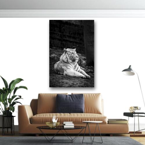 Πίνακας σε καμβά Ασπρόμαυρη Τίγρης 180x270 Τελαρωμένος καμβάς σε ξύλο με πάχος 2cm