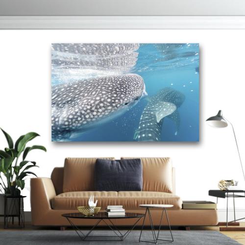 Πίνακας σε καμβά Καρχαρίες 90x60 Τελαρωμένος καμβάς σε ξύλο με πάχος 2cm